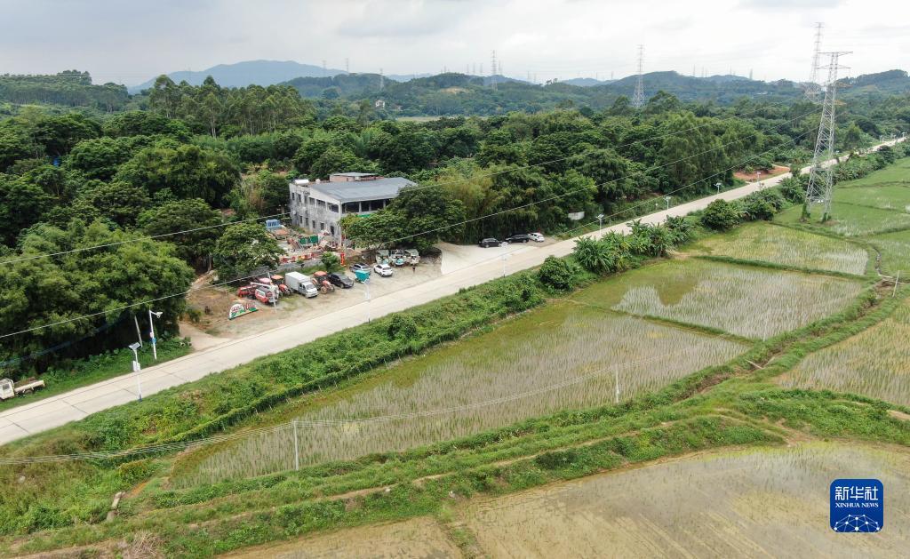皇家老虎机